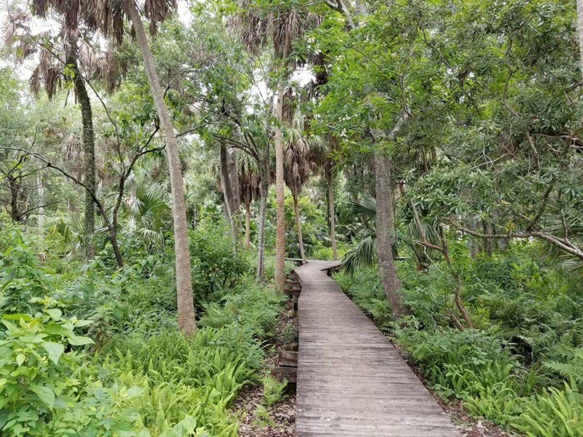 https://patch.com/img/cdn20/users/22976176/20190201/044340/styles/raw/public/processed_images/abercrombie_park_mike_taylor-1549057361-3336.jpg