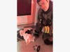 Four kittens were rescued when a house caught fire Sunday in Port Richey.
