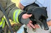 Firefighters rescued the family's dog. 