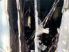 Two cats and two dogs perished in a mobile home fire early Wednesday morning in Spring Hill. 