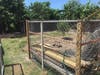 The sheriff's office said the illegal cockfighting took place in the Palm River area.