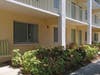 Michael Peterson died outside the Lakes at Largo apartment complex. 