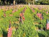 Volunteers planted 35,000 American flags at the cemetery. 