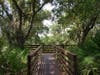 Visitors can explore the park through nearly a mile of nature trails and boardwalks. 