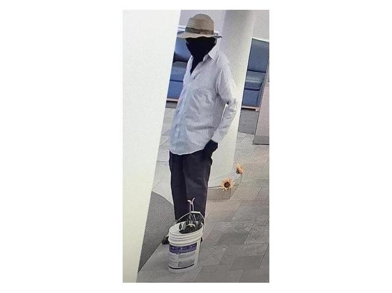 Police are asking for the public's help to identify an armed bank robber carrying a bucket of lawn clippings.