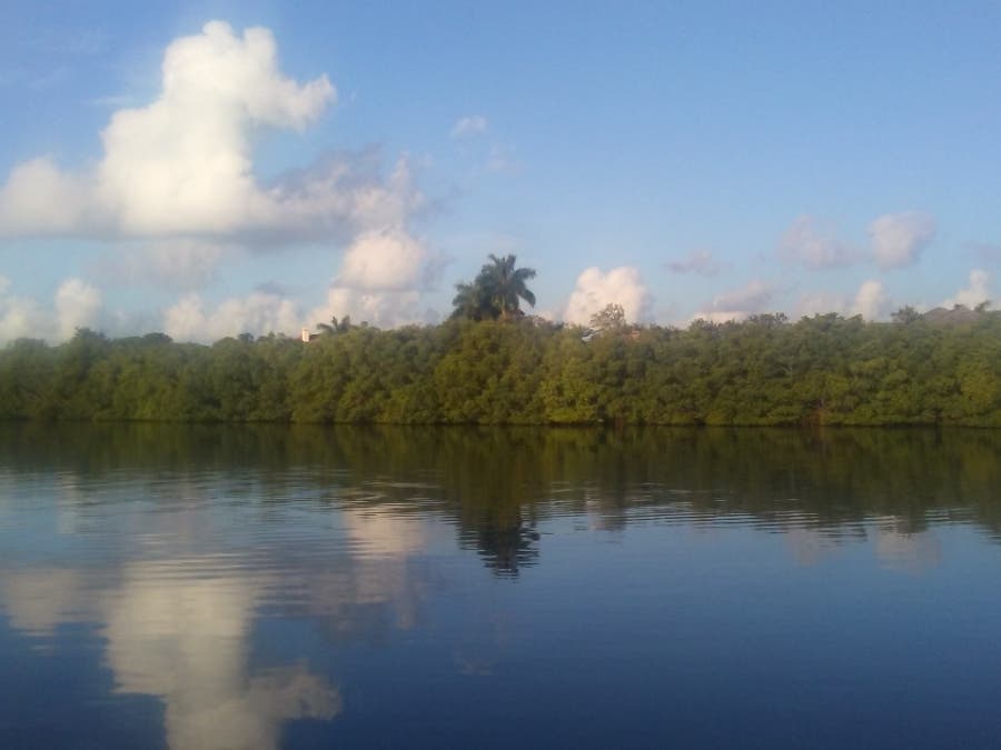 Residents say the bayou has been a protected area since 1983. 