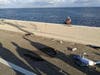 A crash sent an SUV plunging off the Howard Frankland Bridge into Tampa Bay.