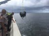 A crash sent an SUV plunging off the Howard Frankland Bridge into Tampa Bay.