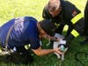Firefighters save a puppy Tuesday during a mobile home fire in Gibsonton. 