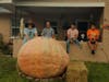 The pumpkin will be on display at 1532 Santa Clara Drive in Dunedin through Halloween. 