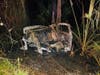 A 32-year-old Wesley Chapel man died over the weekend in a dramatic fiery crash on Interstate 275 that split his car half.