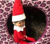 Elf tries to spring some pets at the Suncoast SPCA. 