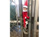 Elf tries to spring some pets at the Suncoast SPCA. 