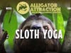 Pressure from animal rights groups have prompted Alligator Attraction to cancel their sloth yoga classes. 
