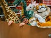 A St. Petersburg man is hoping to inspire and entertain with a series of holiday photos featuring a real-life Elf on the Shelf. 