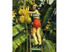 Kitschy 1950s postcards included a model wearing short-shorts and high heels picking bananas.
