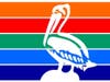 The pelican is prominently featured on both new and old St.. Petersburg city flags. 
