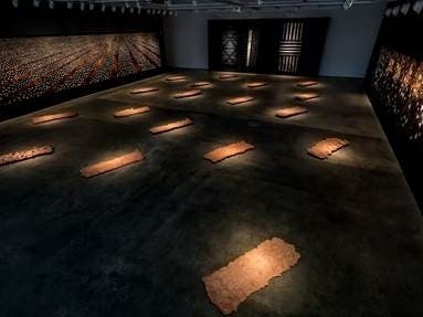 The beauty, history and heartache of the American cotton crop is explored in an exhibit featuring the works of artist Thomas Sayre.