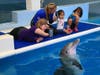A couple of dolphins at the Clearwater Marine Aquarium​ that have thrived despite injuries are teaching children how to live with their own disabilities. 