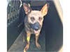 The sheriff's office said Vise is expected to make a full recovery.