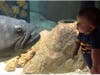 Heidi Schertzer said Cleatus was always the first stop during her family's visit to the aquarium.