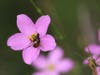Patch is sharing some amazing nature photos taken by Mark Berlinger, a supervisor at the Jay B. Starkey Wilderness Park, 10500 Wilderness Park Blvd., New Port Richey. 