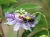 Patch is sharing some amazing nature photos taken by Mark Berlinger, a supervisor at the Jay B. Starkey Wilderness Park, 10500 Wilderness Park Blvd., New Port Richey. 