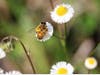 Patch is sharing some amazing nature photos taken by Mark Berlinger, a supervisor at the Jay B. Starkey Wilderness Park, 10500 Wilderness Park Blvd., New Port Richey. 