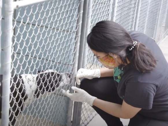 The Pet Resource Center is seeking donations of cloth face masks.