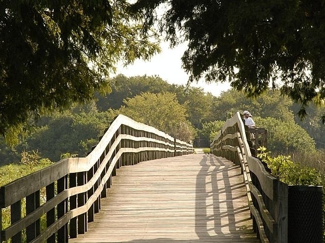 Medard Conservation Park is among the parks Hillsborough County will reopen Tuesday.