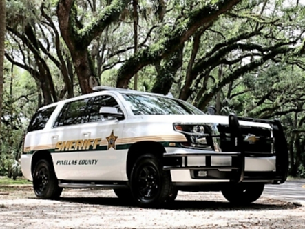 A former Pinellas County Real Estate Management employee has been charged with grand theft auto after being accused of stealing a golf cart from a Pinellas County Jail construction site.