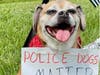 A pup at the rally shows his support for law enforcement K9s.