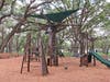 Branch Out provides a tree top adventure for children of various ages and abilities. 