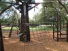 The playground also features two separate play areas including swings, slides and other climbers. 