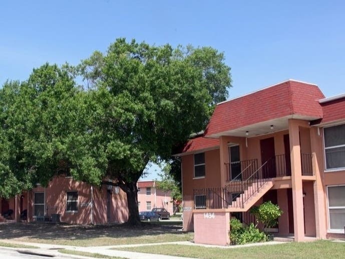 The Bird Gang is based at the Tampa Park low-income housing complex.