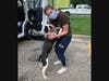 On Friday, the SPCA Tampa Bay in Largo collaborated with the Louisiana SPCA and animal welfare agencies in Pensacola to transport 48 dogs and cats to Tampa Bay.
