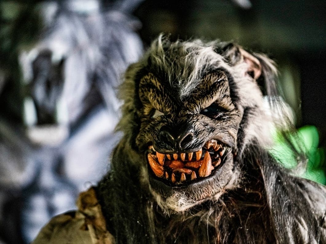 Lycan Landing is among four new scare ones at Howl-O-Scream 2020. 