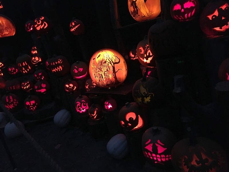 Send us your photos of painted or intricately carved pumpkins and Halloween-themed decorations to be shared with Patch readers.