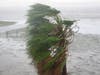 Eta could be near hurricane strength Wednesday morning. A tropical storm warning has been issued for the Gulf coast. 