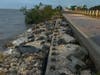 Tropical Storm Eta's impact could still be seen in the tons of debris the storm deposited on local roads, trails and beaches. 