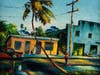 Harold Newton painted life along an avenue in Fort Pierce. 
