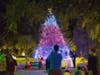 Saint Leo University celebrated its annual Christmas tree lighting a little early this year on Wednesday.