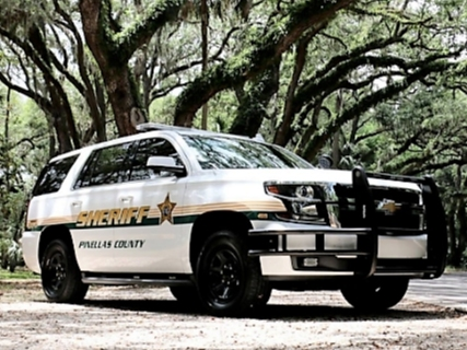 A 54-year-old woman was killed Thursday after being struck by a pickup truck while riding her electric bicycle in Madeira Beach.