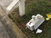 Clearwater police have arrested three teens they say are responsible for smashing at least 40 mailboxes in the Countryside area late Dec. 27 and early Dec. 28.