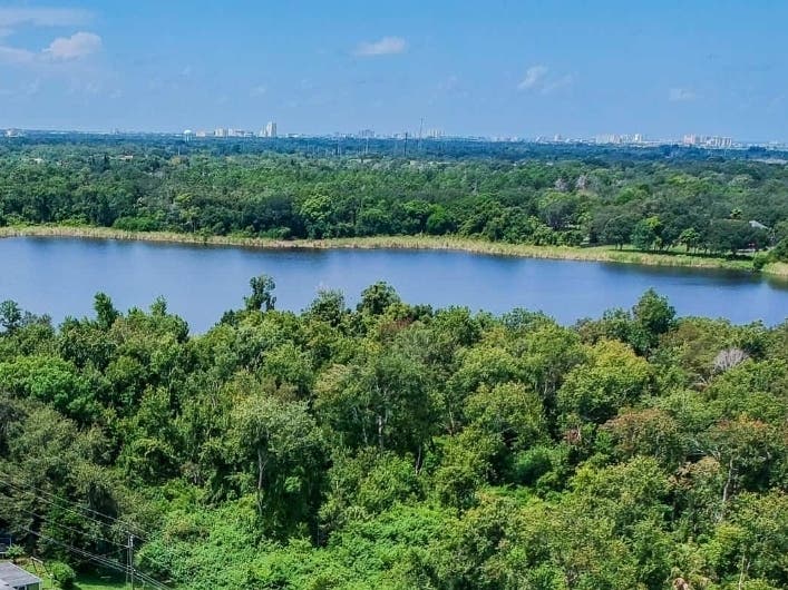 Residents can still take part by watching the livestreamed concert and bidding on auction items. 