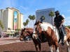 Tampa police mounted posse member will be out in force Super Bowl Week. 