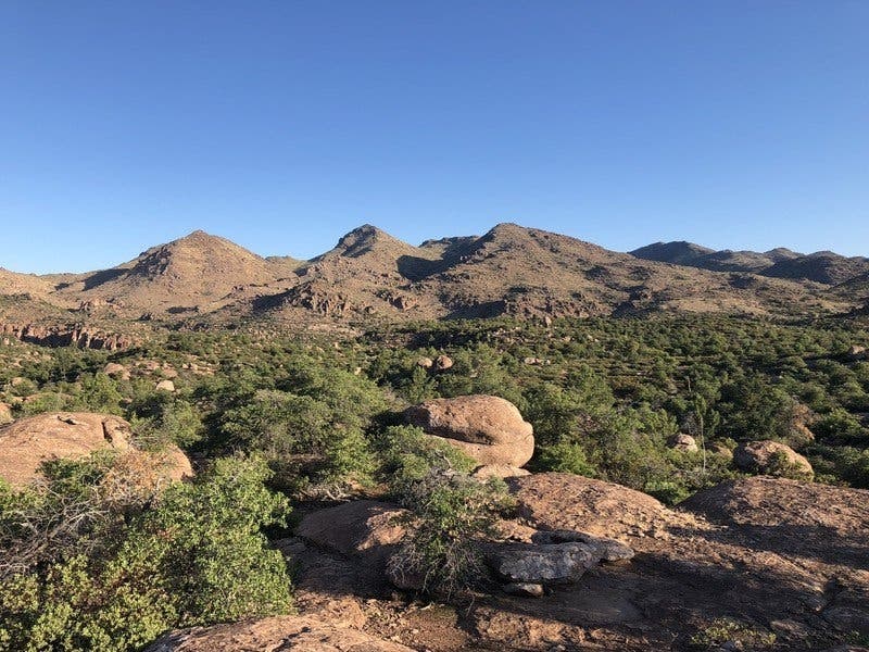 Tribal and conservation groups sued the U.S. Forest Service Friday to stop a land trade that would hand over thousands of acres in the Tonto National Forest in central Arizona to a London-based mining company. 