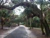 Pinellas County has earned the Arbor Day Foundation’s designation of Tree City USA for the fourth year in a row. 