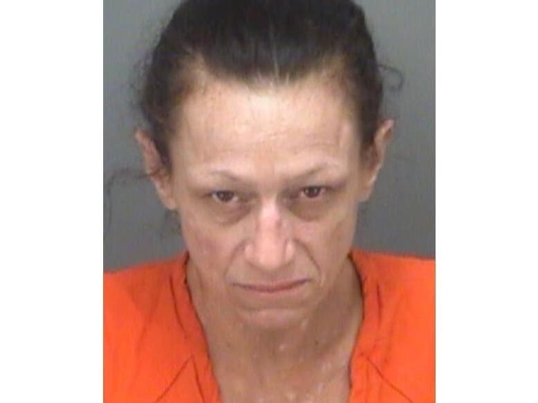 A Pinellas Park woman was arrested after Pinellas Park police said she repeatedly stabbed her roommate during an argument over $60 of her federal stimulus money. 