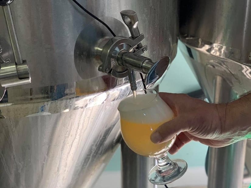 Couple Brews Up A Business Following Their Retirement In Dunedin - Vimarsana News